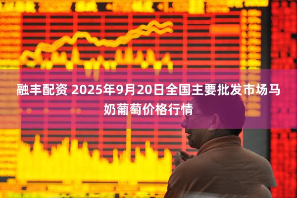 融丰配资 2025年9月20日全国主要批发市场马奶葡萄价格行情