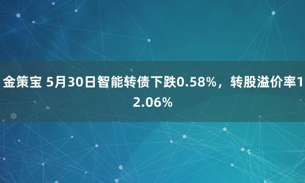 金策宝 5月30日智能转债下跌0.58%，转股溢价率12.06%