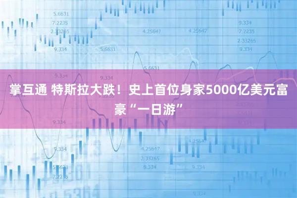 掌互通 特斯拉大跌！史上首位身家5000亿美元富豪“一日游”