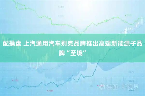 配操盘 上汽通用汽车别克品牌推出高端新能源子品牌“至境”
