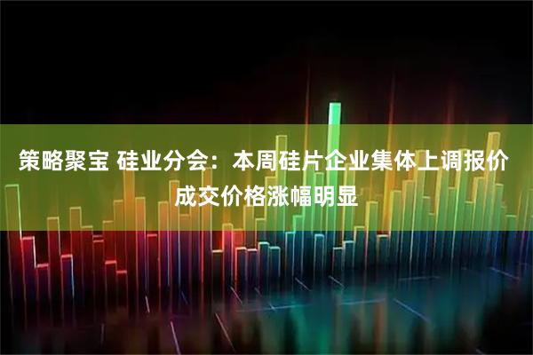 策略聚宝 硅业分会：本周硅片企业集体上调报价 成交价格涨幅明显