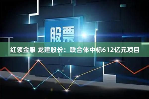 红领金服 龙建股份：联合体中标612亿元项目