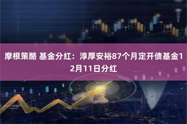 摩根策酪 基金分红：淳厚安裕87个月定开债基金12月11日分红