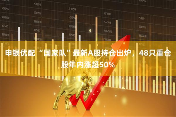 申银优配 “国家队”最新A股持仓出炉，48只重仓股年内涨超50%
