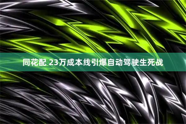 同花配 23万成本线引爆自动驾驶生死战